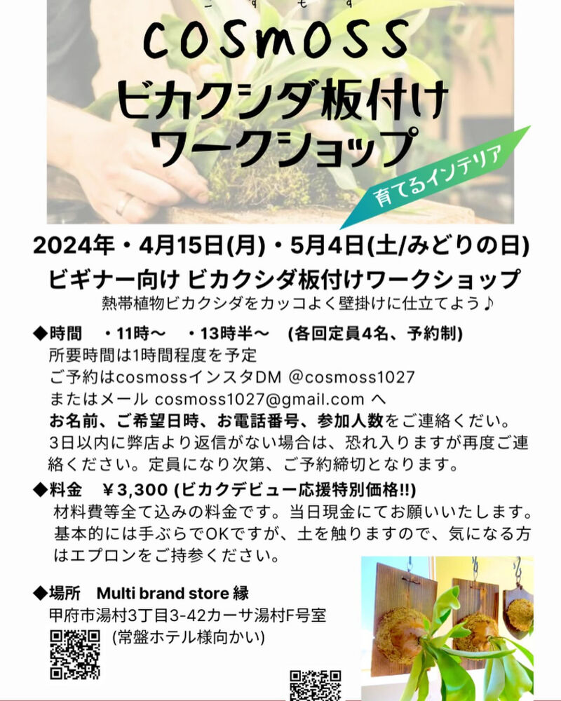 ブログ