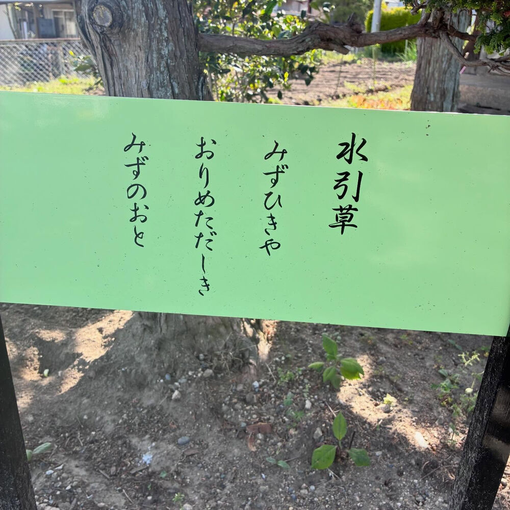 ブログ