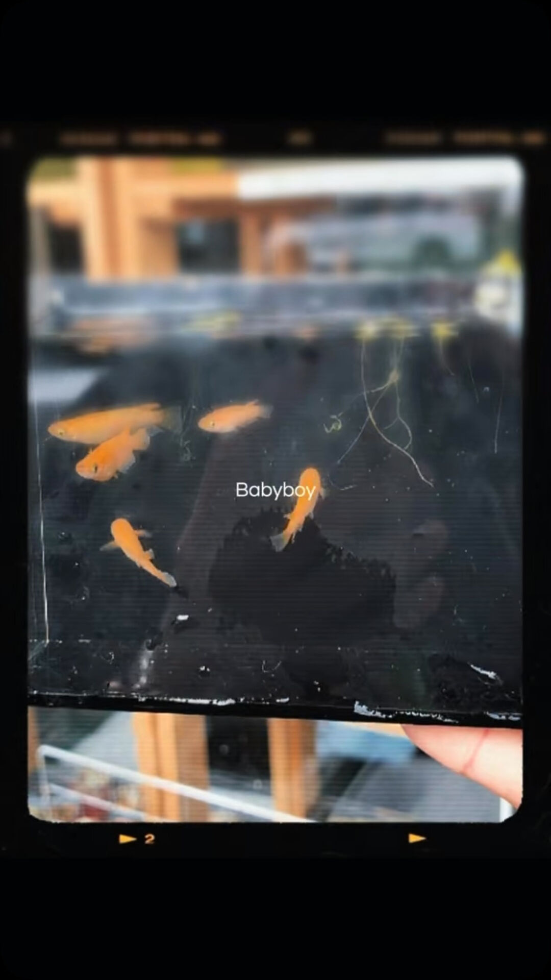 ブログ